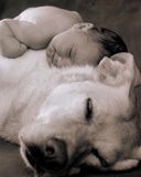 baby and dog - wallpaper preview
