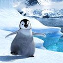 Happy Feet - wallpaper preview
