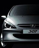 Peugeot 307 - wallpaper preview