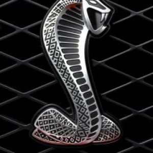 Ford Shelby