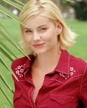 Elisha Cuthbert