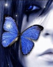 Butterfly - wallpaper preview