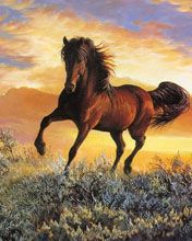 Horse - wallpaper preview