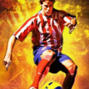 Fernando Torres