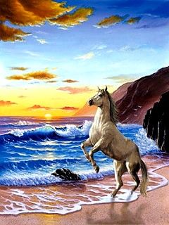 Horse - wallpaper preview