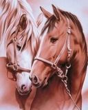 horse - wallpaper preview