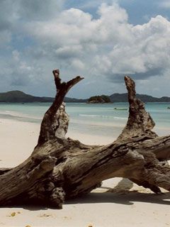 Seychelles - wallpaper preview