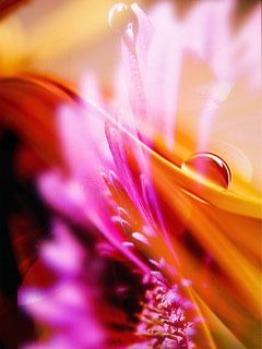 Abstract - wallpaper preview