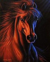 Horse - wallpaper preview