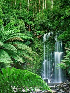 Beauchamp Falls Victoria Australia - wallpaper preview