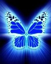 Butterfly - wallpaper preview