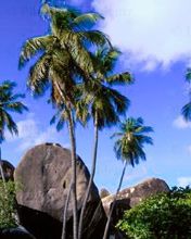 Virgin-Islands - wallpaper preview