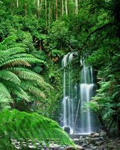 Beauchamp-Falls Victoria Australia - wallpaper preview