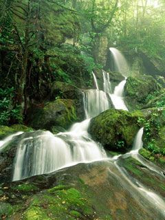 Cliff Branch Falls Great Smoky Mountains National- - wallpaper preview