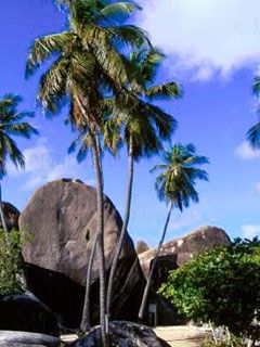 Virgin Islands - wallpaper preview