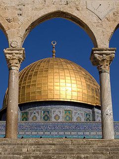 On Campus Israel - wallpaper preview