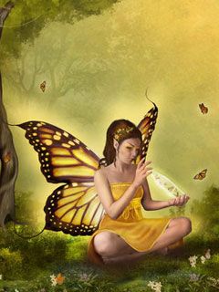 Butterfly - wallpaper preview