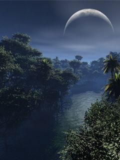 prales - wallpaper preview