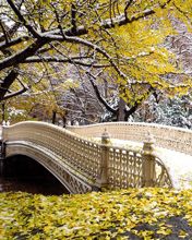 Early Snowfall - Central Park - New York - wallpaper preview