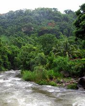 Dominica river - wallpaper preview