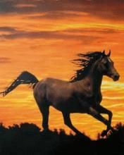 Horse - wallpaper preview