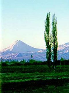 Ararat - wallpaper preview