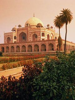 Delhi - wallpaper preview