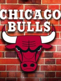 Chicago Bulls - wallpaper preview