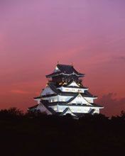 Castle Osaka - wallpaper preview