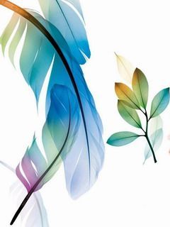 Leaf Of A Feather
