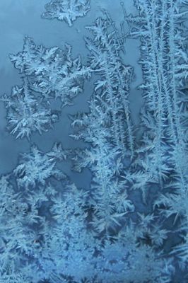Winter Freeze - wallpaper preview