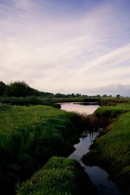 Marshland Sunset  - wallpaper preview