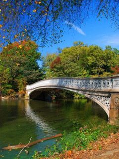 Central Park - wallpaper preview