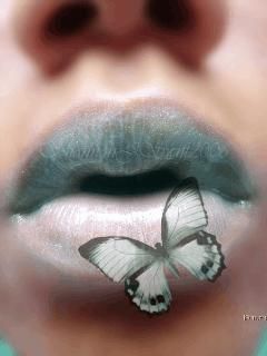 Butterfly - wallpaper preview