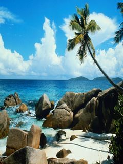 Beach - wallpaper preview