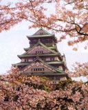 Osaka Castle - wallpaper preview