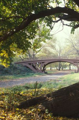 Central Park - New York City - wallpaper preview