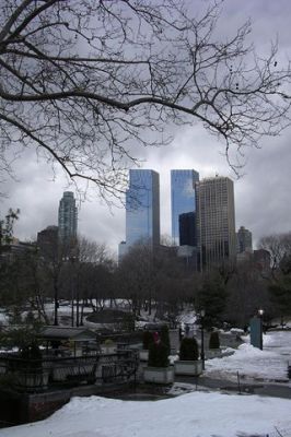 Central Park - New York - wallpaper preview