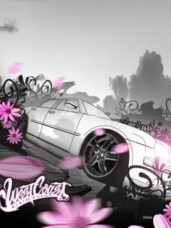 - - wallpaper preview