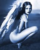 Blue Angel - wallpaper preview