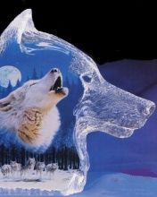 Wolf - wallpaper preview