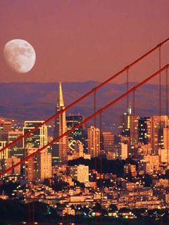 San Francisco - wallpaper preview