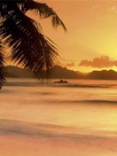 Seychelles Sunset - wallpaper preview