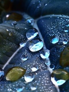 Rain