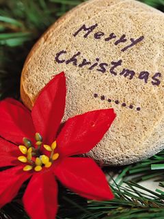 Merry Christmas - wallpaper preview