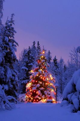 Merry Christmas - wallpaper preview