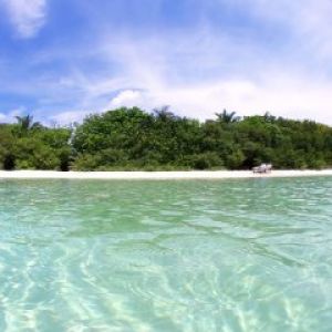 Paradiso Tropicale