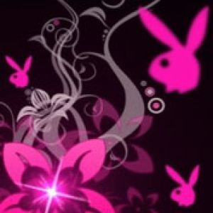Design floreale rosa con coniglietti
