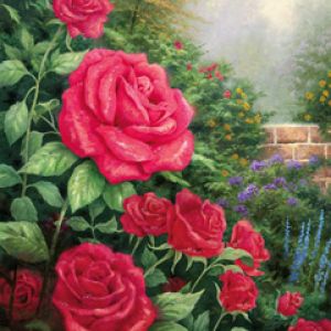 Belle Rose Rosse in Fiore