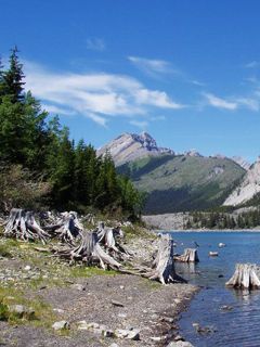 Lago Montano Sereno - wallpaper preview